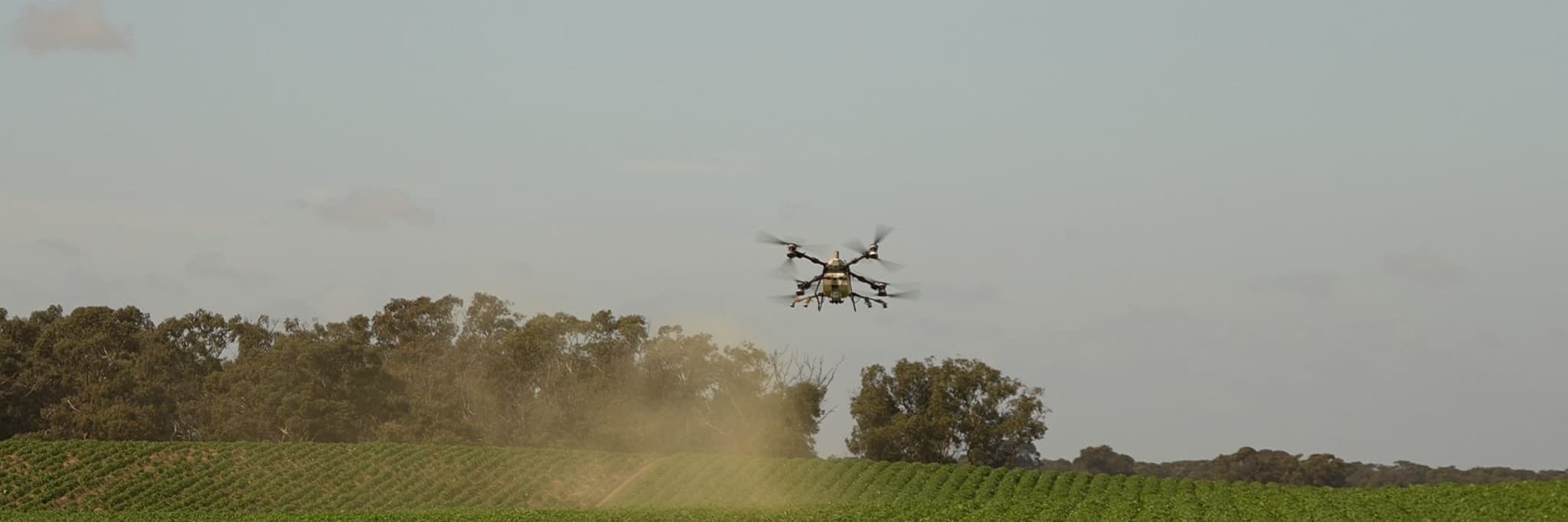 An AGX spray drone working a paddock in front of a line of gum trees